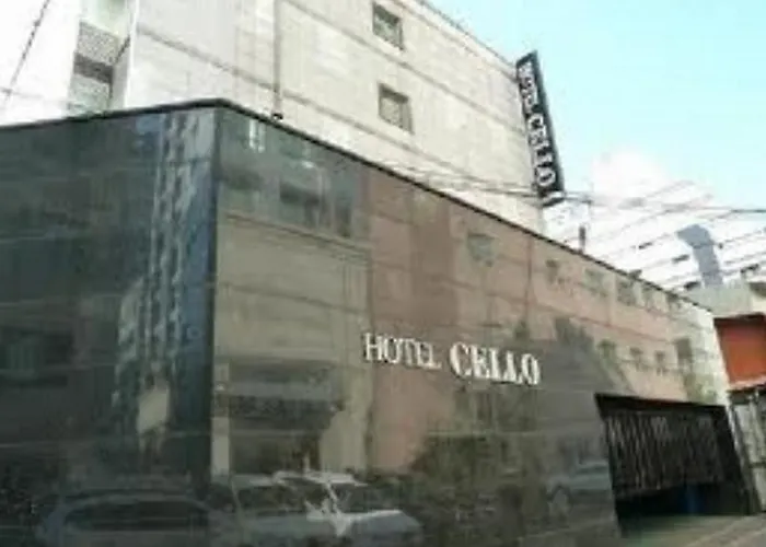 Motel Cello